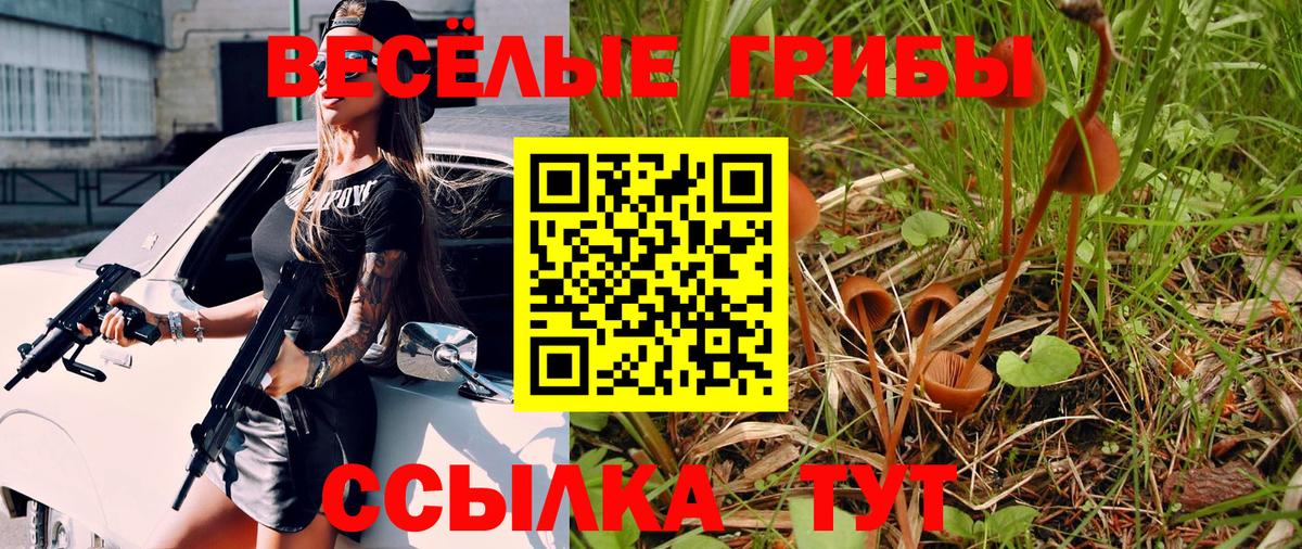 Псилоцибиновые грибы GOLDEN TEACHER Саяногорск