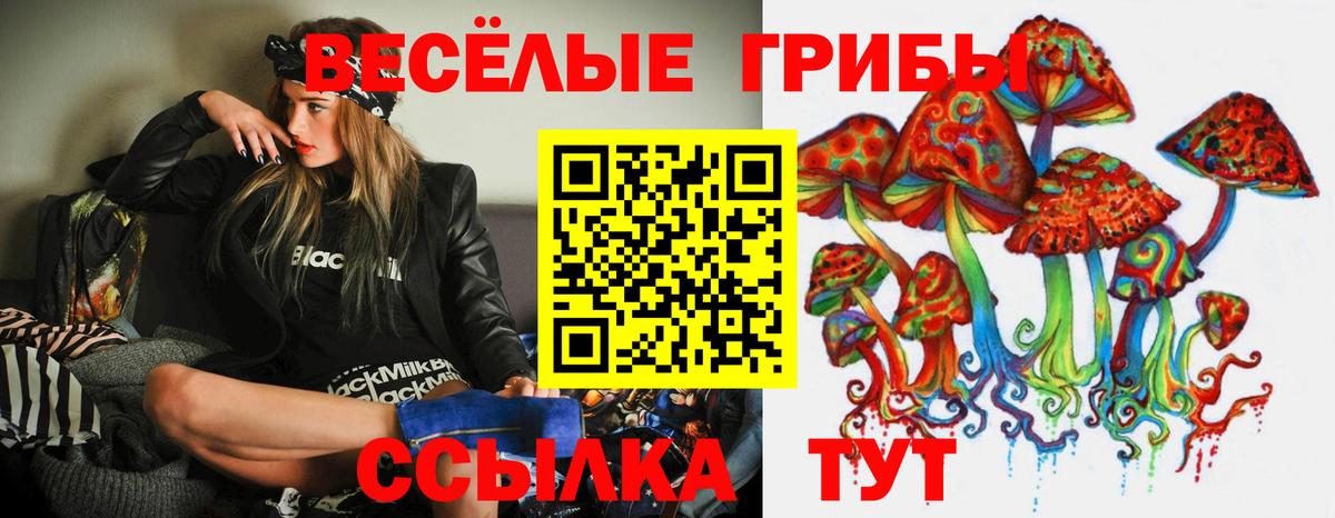 Саяногорск  Галлюциногенные грибы Cubensis  Вход с VPN 
